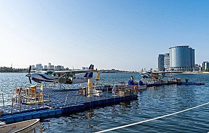 Paradox生存模拟游戏《末日求生》玩法与建筑介绍